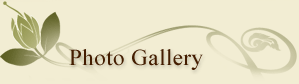 Photo Gallery